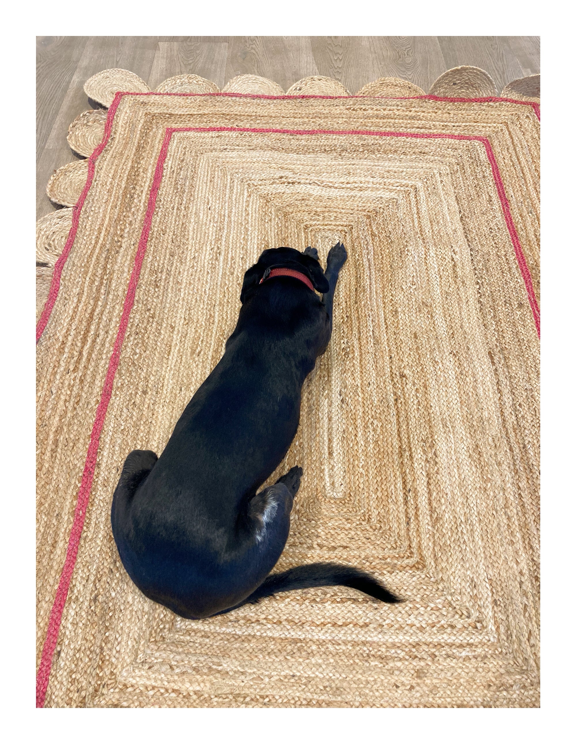 Jute rugs